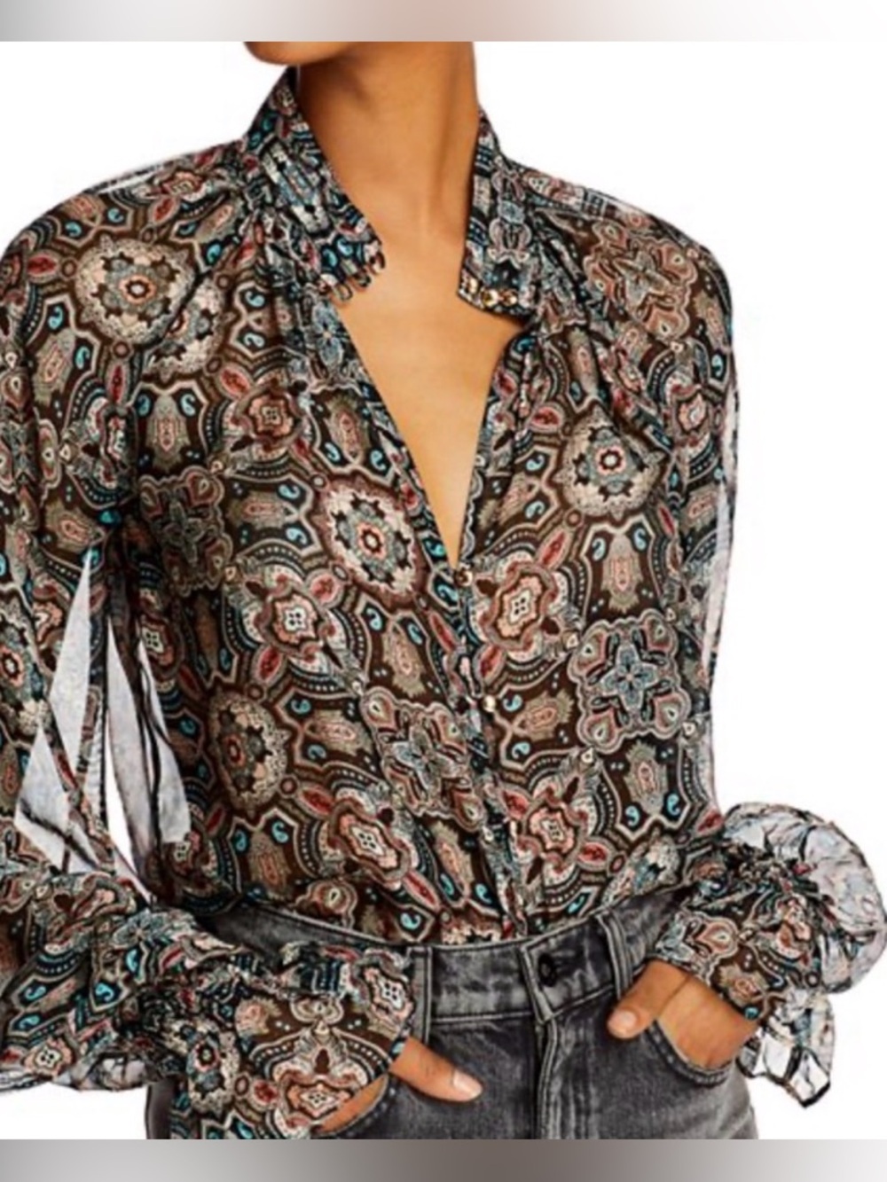 Ramy Brook Sheer Paisley Silk Blouse 
Size Small/Petite